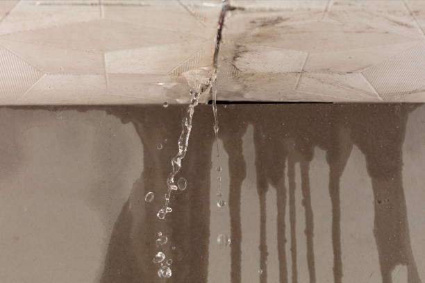 Professional Structural Drying technician working in Neffs, OH